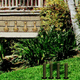 8b farmhouse backyard escape