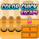 Avm color chick escape