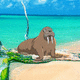 Coconut farm island escape