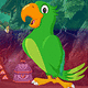 G4k speaking parrot escape
