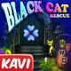 Kavi black cat rescue escape