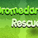 Mirchi dromedary rescue
