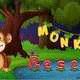 Nsr rescue monkey