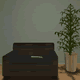 Scallion room escape