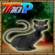 Top10 halloween ghost cat rescue