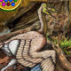 Wow archaeopteryx bird forest escape