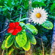 Wow tropical flower forest escape